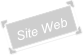 Site Web