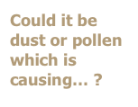 Could it be dust or pollen which is causing… ?