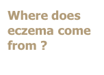 Where does eczema come from ?
