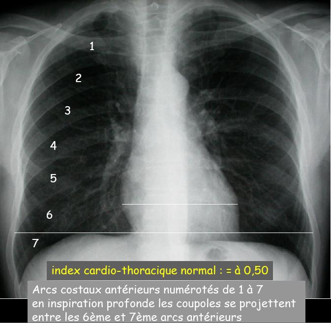 comment apprendre la semiologie medicale