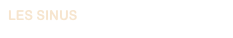 LES SINUS